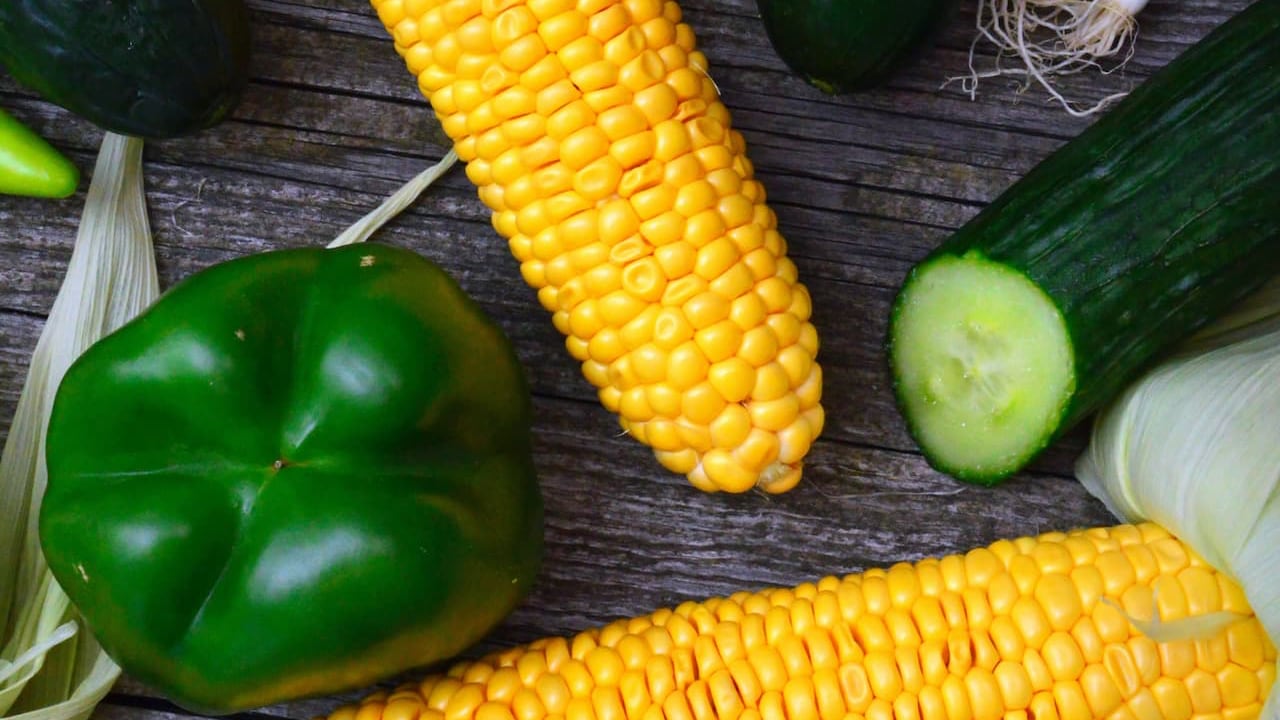 Consectetur Adipiscing Elit